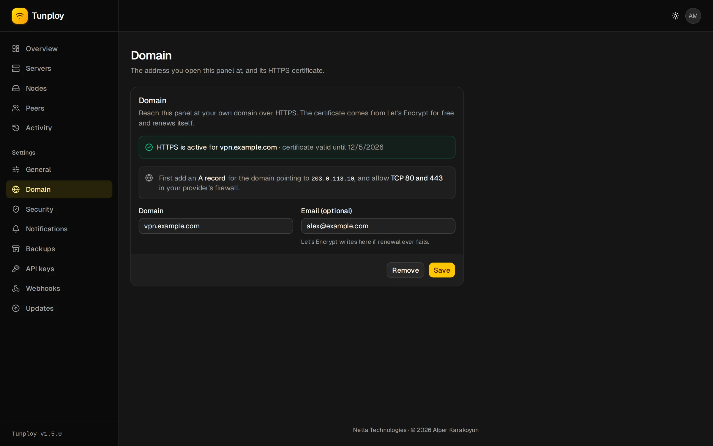 Settings → Domain with HTTPS active